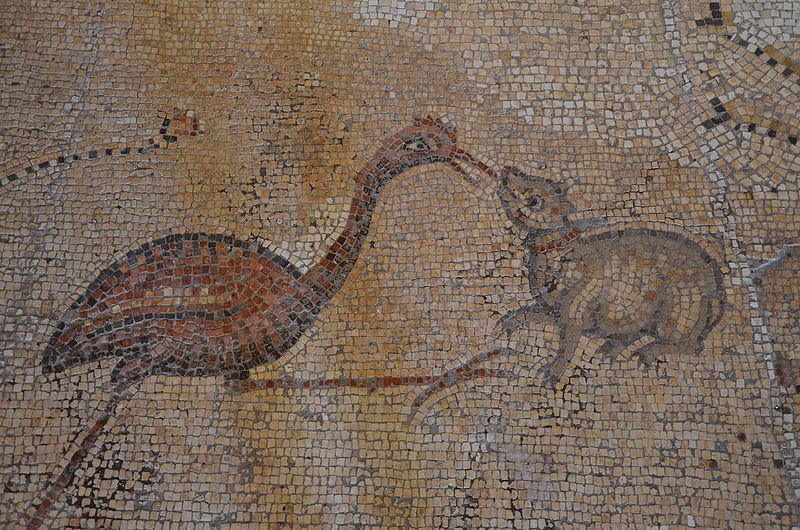Mosaici con figurazioni nilotiche ( sec. V); si tratta dei più antichi mosaici paleocristiani in questa zona della Galilea (foto Wikipedia by Carole) Raddato V sec. d.C mosaico the earliest known examples of figured pavement in Christian art in the Holy Land, Tabgha, Galilee