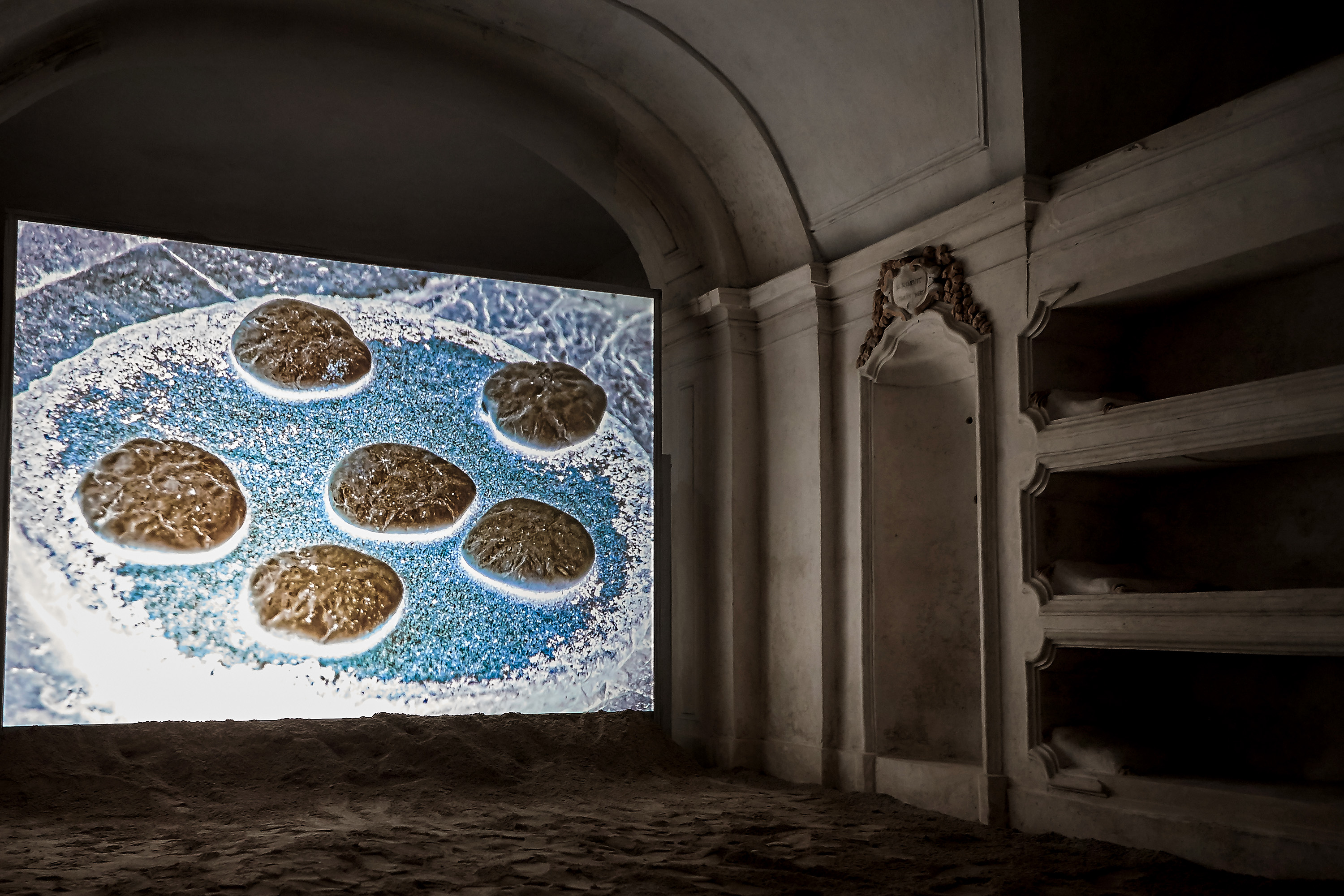L'installazione nella cripta della chiesa restaurata.