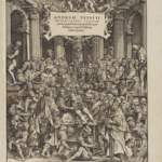 Andrea Vesalio, Andreae Vesalii Bruxellensis, … De humani corporis fabrica libri septem, Basilea 1543. Venezia, Biblioteca Nazionale Marciana